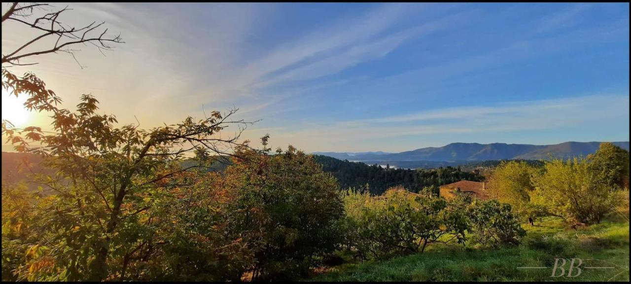 Gite Du Tilleul - 2 Etoiles - Domaine De L'Olivier Faugeres  ภายนอก รูปภาพ