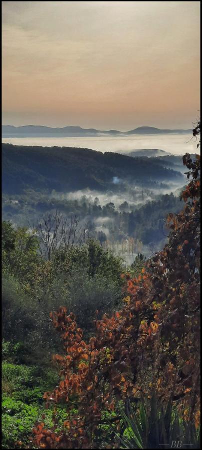 Gite Du Tilleul - 2 Etoiles - Domaine De L'Olivier Faugeres  ภายนอก รูปภาพ